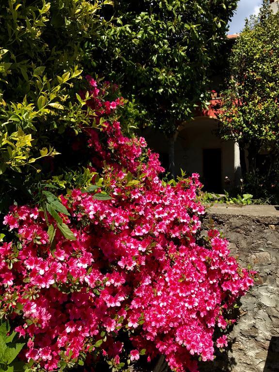 Casamariuccia Guest House Massino Visconti Exterior photo