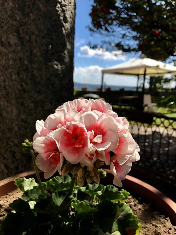 Casamariuccia Guest House Massino Visconti Exterior photo